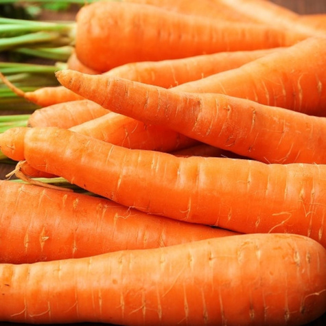 Marchew jadalna Regulska średniopóźna 100g