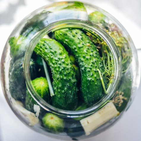 Nasiona otoczkowane Ogórek gruntowy Tytus F1 50 ziaren konserwowy