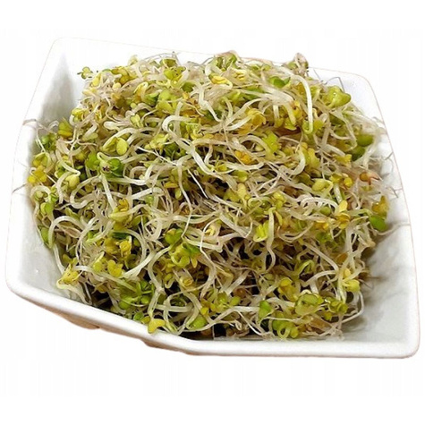 Gorczyca nasiona na kiełki 20g