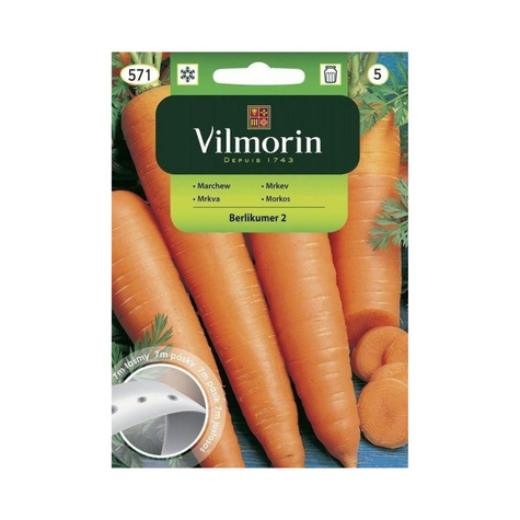 Nasiona na taśmie Marchew jadalna Berlikumer 2 późna 7m