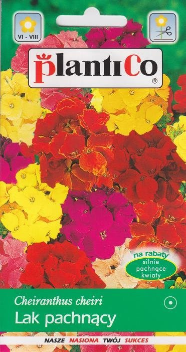 Lak pospolity pachnący letni mieszanka 1g