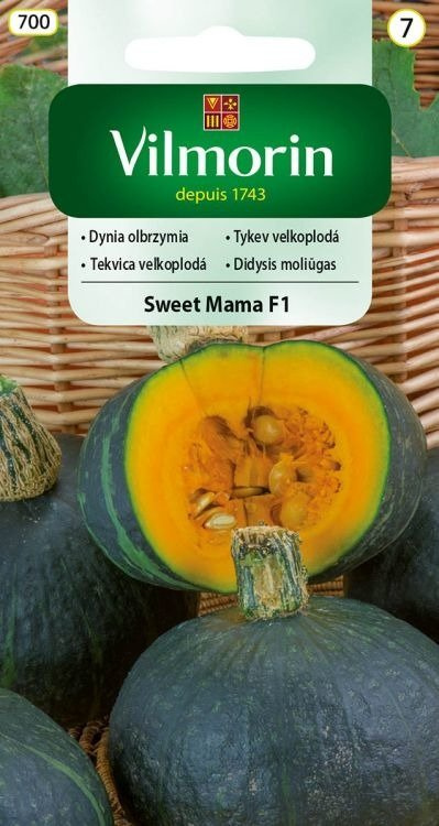Dynia zwyczajna olbrzymia Sweet Mama F1 7szt