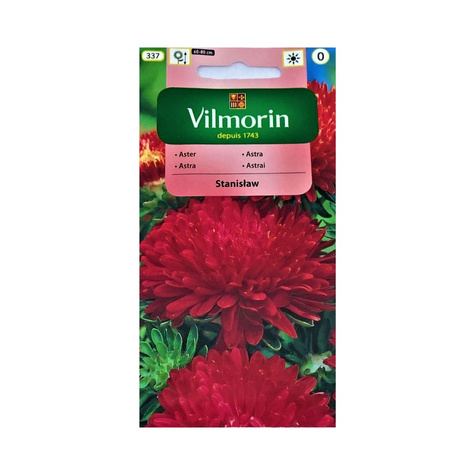 Aster chiński peoniowy Stanisław 0,5g
