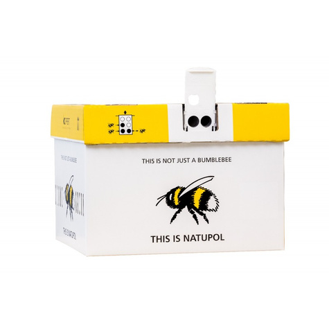 Natupol SMART UL z trzmielami do powierzchni 1000m2