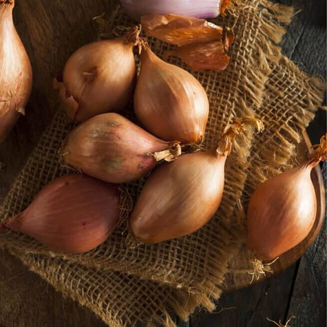 Cebula dymka żółta 0,25kg (STURON)