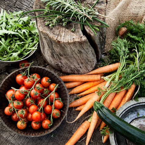 BIO Marchew Nantaise 2 Nasiona 5g