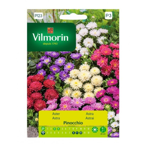 Aster chiński Pinocchio 0,5g