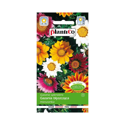 Gazania błyszcząca mieszanka 0,3g