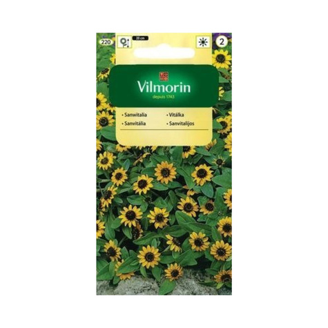 Sanwitalia rozesłana, polegnatka 0,3g