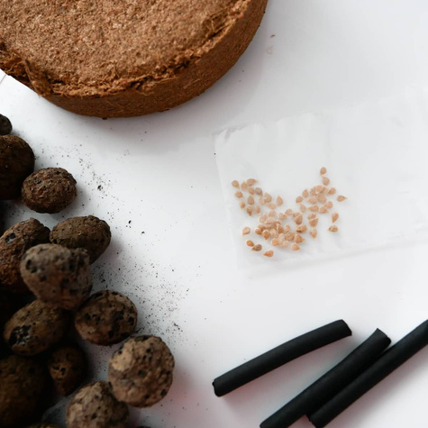 Zestaw do uprawy Majeranku Majeranek zioła na parapet