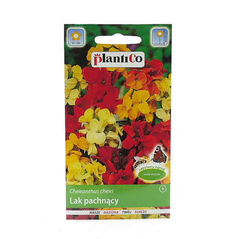 Lak pospolity pachnący letni mieszanka 1g