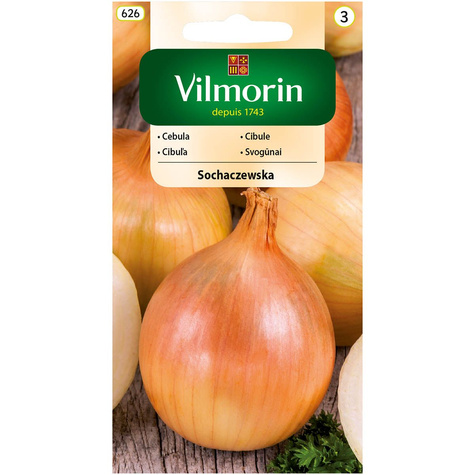 Cebula żółta Sochaczewska późna 5g
