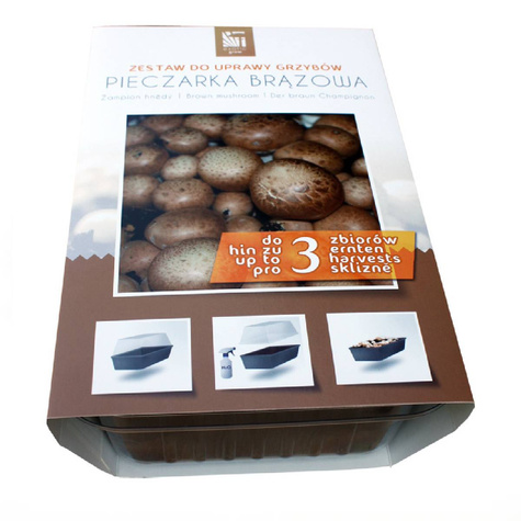 Gotowe podłoże Grzybnia Planto Pieczarka Brązowa 3L + miniszklarenka