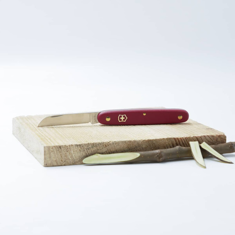 Nóż do przeszczepiania z prostym ostrzem