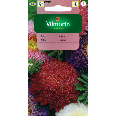 Aster chiński książęcy mix 1g Vilmorin