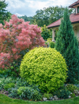 Zestaw Naturalna Aranżacja Ogrodu