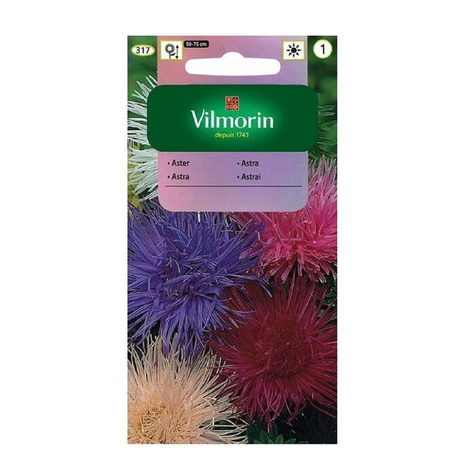 Aster chiński igiełkowy mix+ 50% gratis 1,5 g Vilmorin