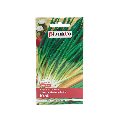 Cebula siedmiolatka Kroll 2g
