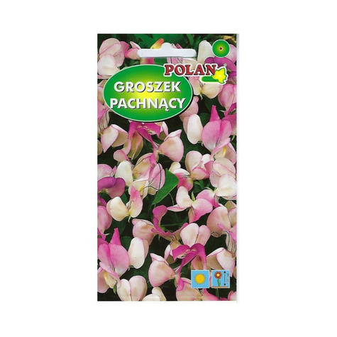 Groszek pachnący biało-różowy Pansy Lavender Flush 2g