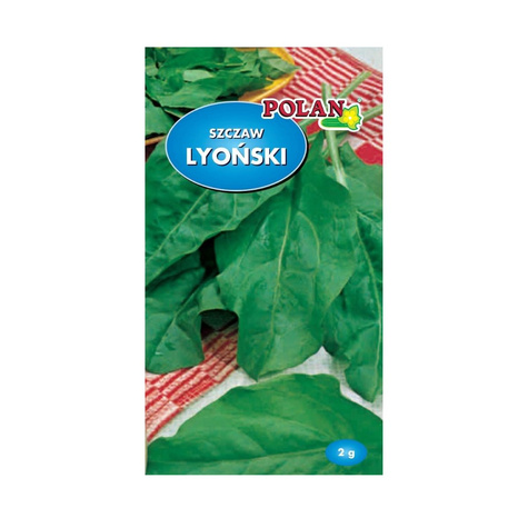 ZESTAW ALLEGRO Szczaw Lyoński wczesny 2g