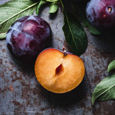 Śliwa japońska Czarna Plant Pack