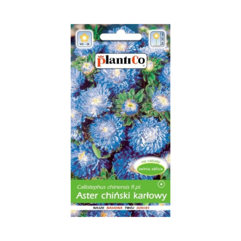 Aster chiński peoniowy karłowy niebieski 1g