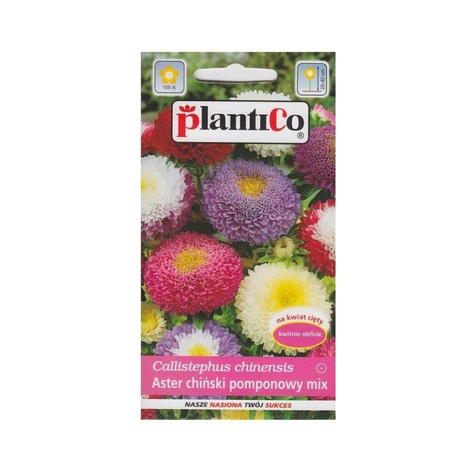 Aster chiński pomponowy mix 1g Plantico