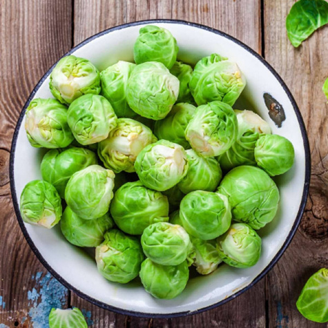 Kapusta brukselska Brukselka Groninger zimująca 1g