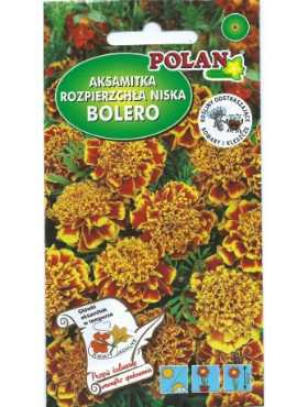 Aksamitka Bolero miodowo-mahoniowa 1g
