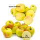 Duo Jabłoń Golden delicious + James Grive Plant Pack