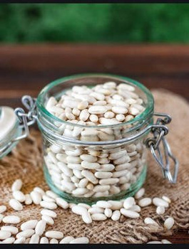Fasola wielkokwiatowa karłowa na suche ziarno Kontra 50g
