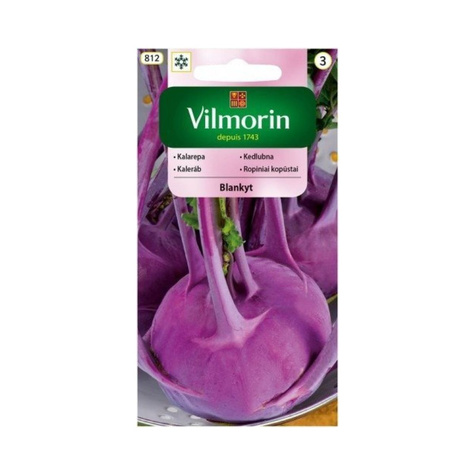 Kalarepa Blankyt fioletowa wczesna 2g