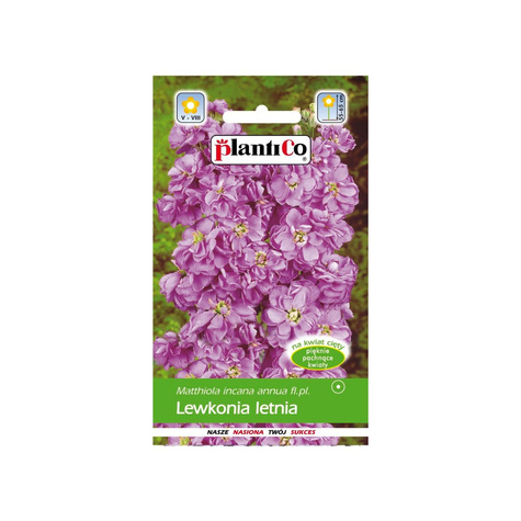 Lewkonia letnia fioletowa 0,5g