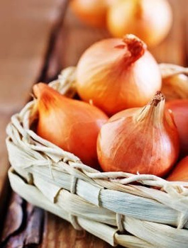 Cebula żółta Sumatra F1 średniopóźna 500g