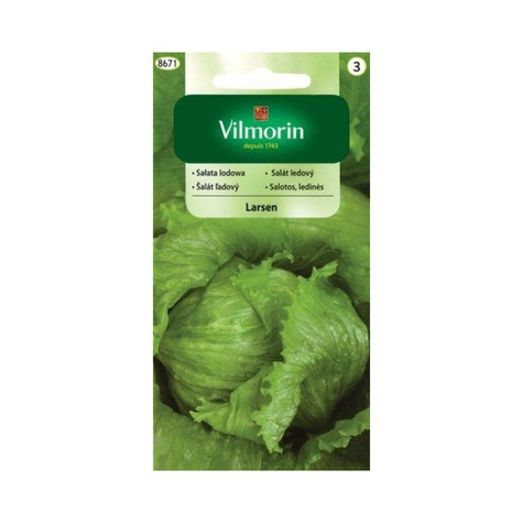 Sałata lodowa Larsen średniowczesna 0,5 g