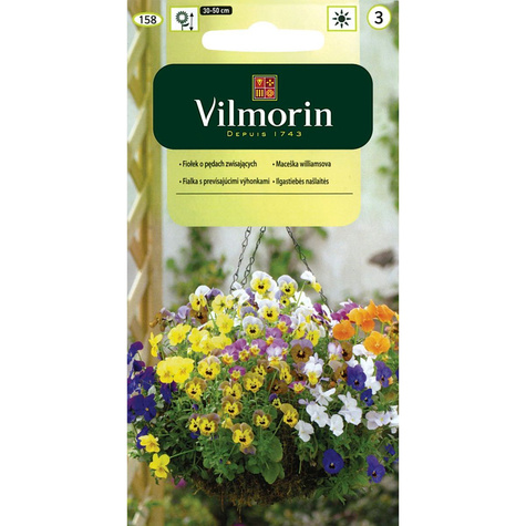 Fiołek, Bratek o pędach zwisających mieszanka 0,2g