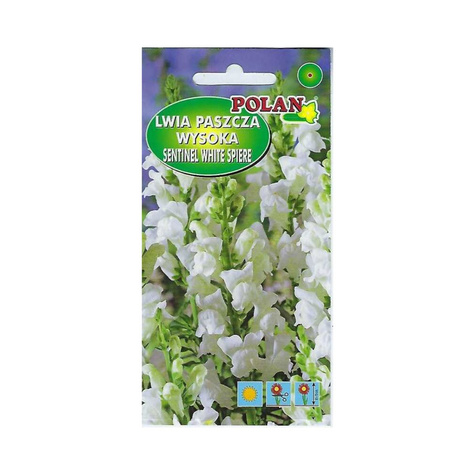 Lwia paszcza wysoka Sentinel white spiere biała Wyżlin 0,5g