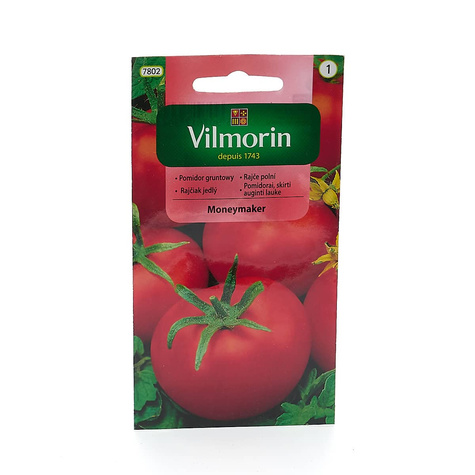 Pomidor gruntowy wysoki Moneymaker 0,5g