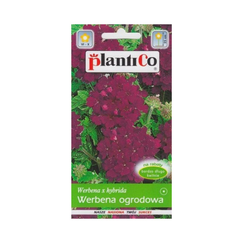 Werbena ogrodowa fioletowa 0,5g