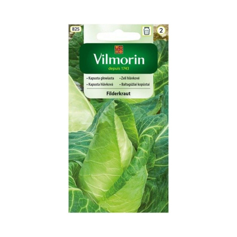 Kapusta głowiasta biała Filderkraut stożkowa późna 2g