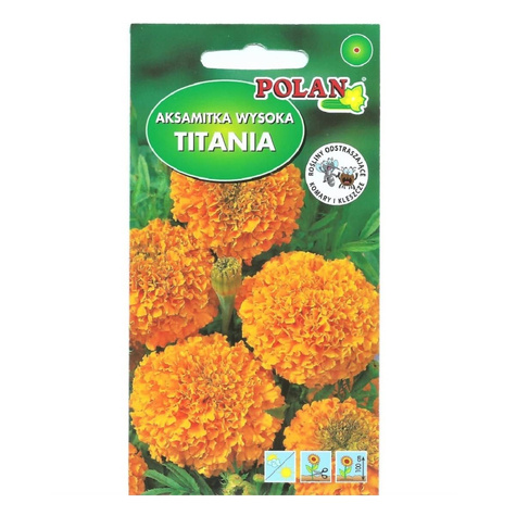 Aksamitka wysoka pełna Titania pomarańczowa 2g