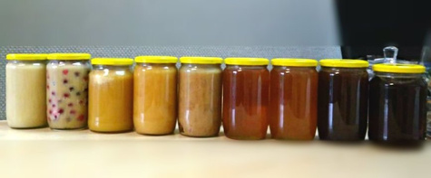 Miody z Mazur Chabrowy Bławatkowy 200g Pasieka Tkacz