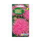 Aster igiełkowy Różowy Jubileusz 1+0,2g