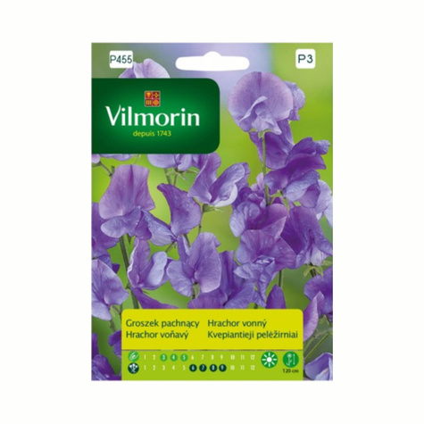 Groszek pachnący niebieski 2g Vilmorin