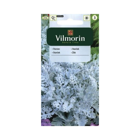 Starzec popielny srebrzysty Mrozy 0,3g Vilmorin