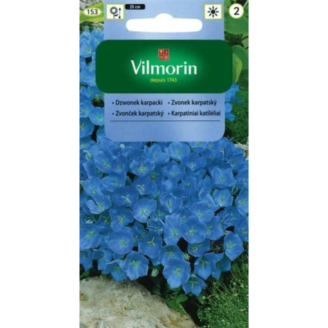 Dzwonek karpacki niebieski 0,5g Vilmorin
