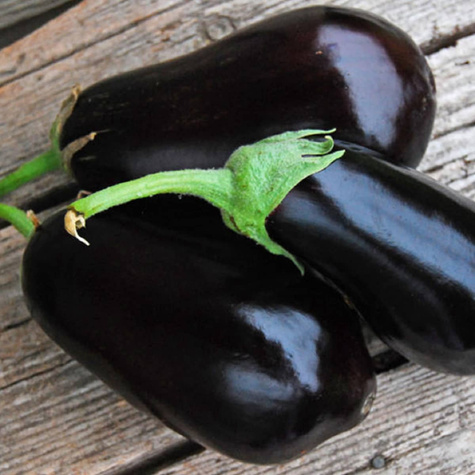 Oberżyna Bakłażan BLACK BEAUTY 1g