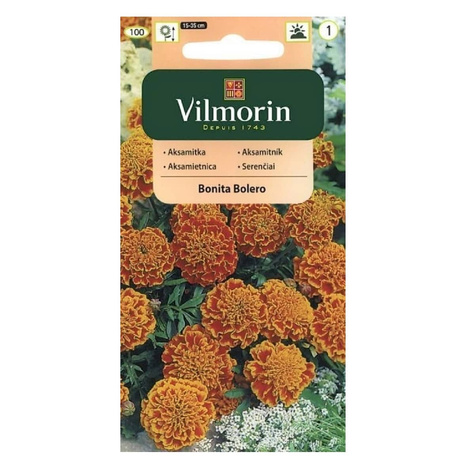 Aksamitka rozpierzchła pełna Bonita Bolero 1g