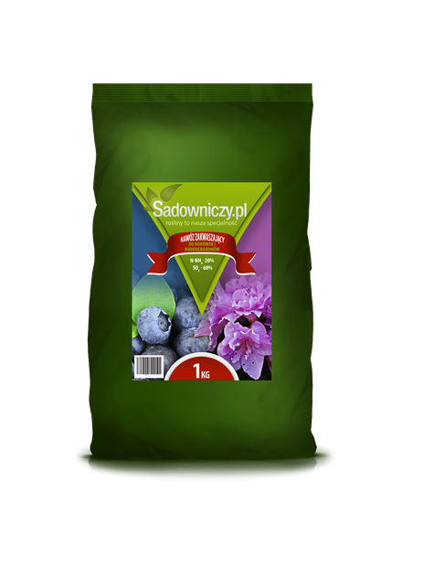 Zestaw 4 plennych odmian borówek + nawóz