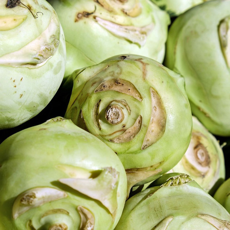 Kalarepa WIEDEŃSKA BIAŁA wczesna 2g